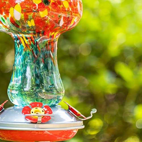 Gifts for Women Hummingbird Feeders for Outdoors Hanging Ant and Bee Proof