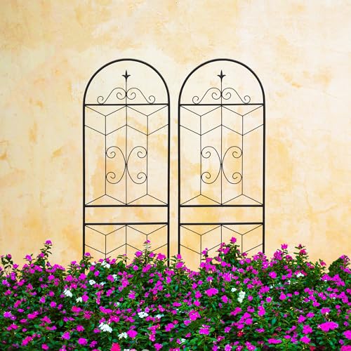 2 Pack 71x20in Garden Trellises with Black Metal Coating