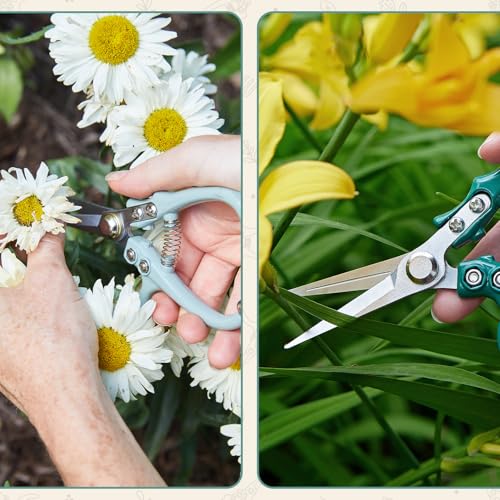 Pruning Shears (Ocean)