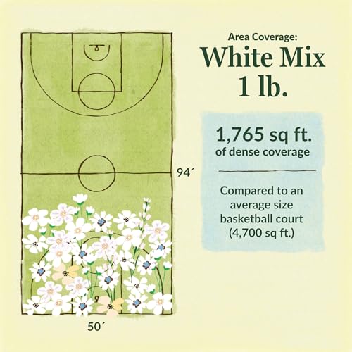 White Bulk Wildflower Seeds (16 Ounce)