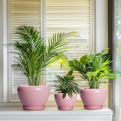 Ceramic Planters (10+8+6 Inch / Pink)