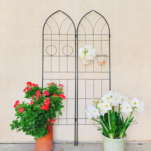 2 Pack Metal Garden Trellis 78.7" H Garden Fence Rustproof Trellis for Climbing Plants Support Roses Flower Outdoor Lawn Black (2 Count)