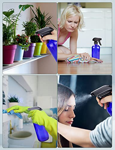 Glass Spray Bottle (2 Count)