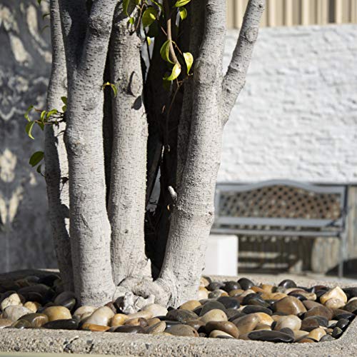 Mixed Polished Decorative Pebbles Landscape Accent Stone 40 lb (Mixed / 1.2 inch - 2 inch / BAG)