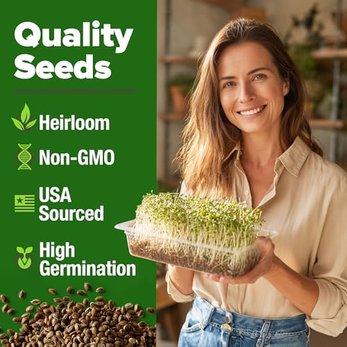 Non GMO Alfalfa Sprout Seeds 16oz Bulk Pack with Thousands of Seeds Alfalfa for Sprouting & Microgreens Indoor Outdoor Growing Resealable Bag High Germination (16 Ounce)