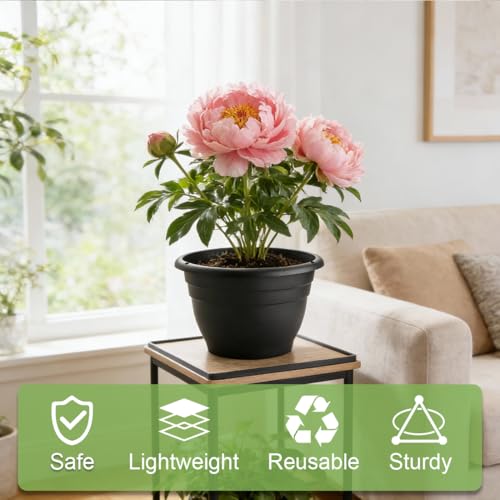 25 Pack 10 Inch Plant Pots with Drainage Holes (Black Pack of 25 / 10 inch)