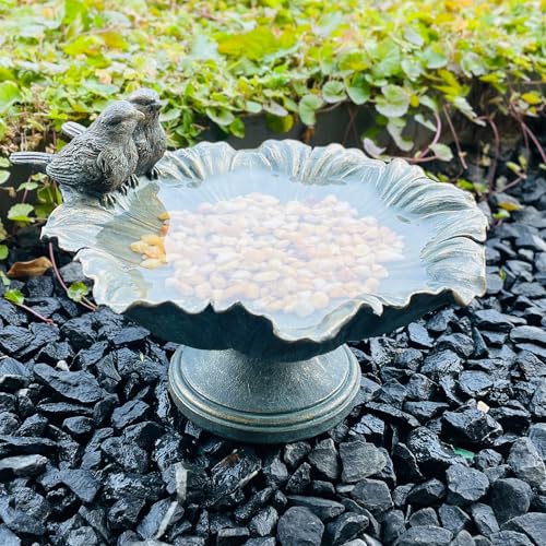 Bird Baths for Outdoors