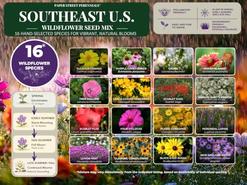 Southeastern US Bulk Perennial Wildflower Seed Mix 1lb Covers 2