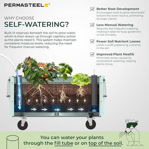 Self Watering Garden Bed