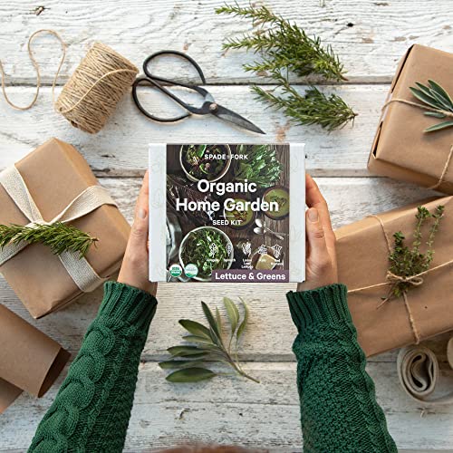Organic Indoor Lettuce & Greens Garden Starter Kit