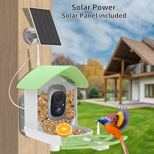 Bird Feeder with Camera