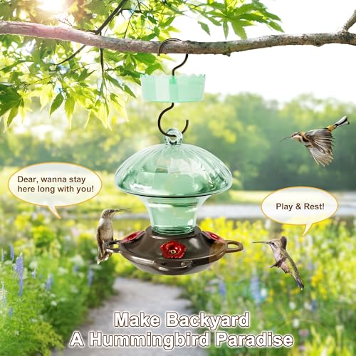 Glass Hummingbird Feeders for Outdoors Hanging