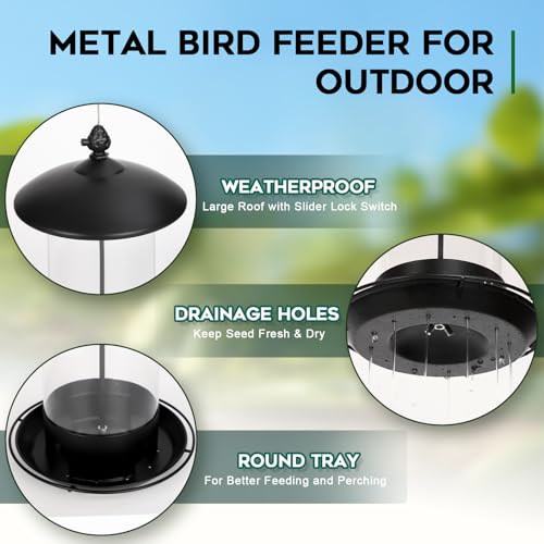 Metal Bird Feeders for Outdoors Hanging (Black)