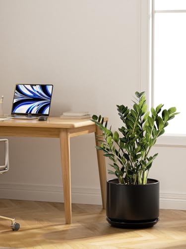 12 Inch Pots for Plants (Black / 12")