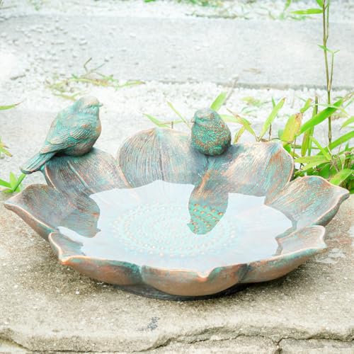 Bird Bath for Outdoors