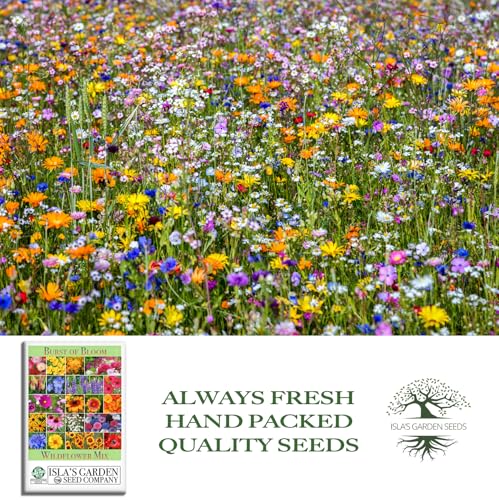 Burst of Bloom Wildflower Seed Mix (2500 Count)