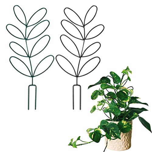 2Pack Indoor Plant Trellis Metal Wire Garden Trellis (2 Count)