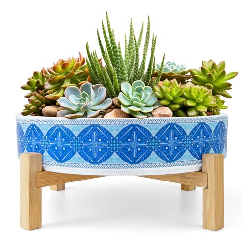Succulent Pots (Floral 3)