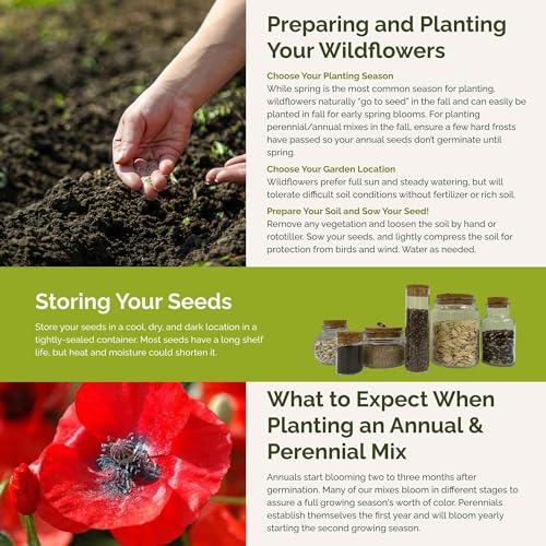 Flowery Fields Forever Flower Mixed Seeds for Planting (1 Pound / Flowery Fields)