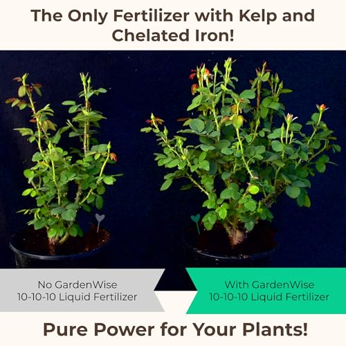10-10-10 All Purpose Plant Food - Liquid Fertilizer with Seaweed Kelp & Iron - Indoor & Outdoor Plant Food, Vegetables, Flowers, Lawn & Garden 1x32oz (32 Ounce)