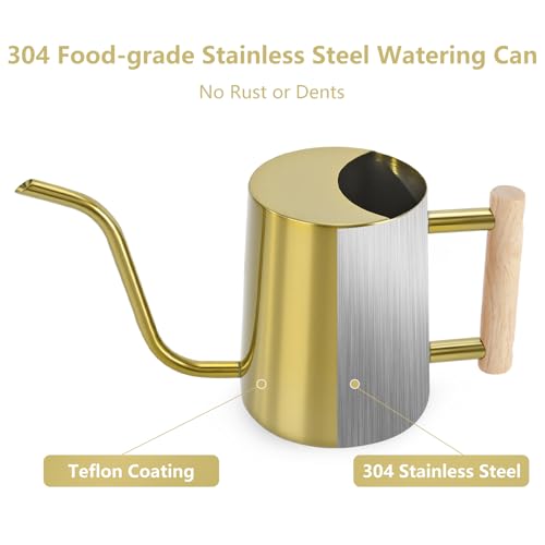 Watering Can Indoor Plants (Gold)