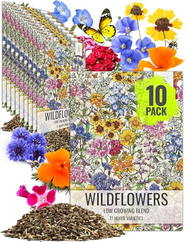 Low Growing Wildflower Flower Seeds for Planting (10 Count)