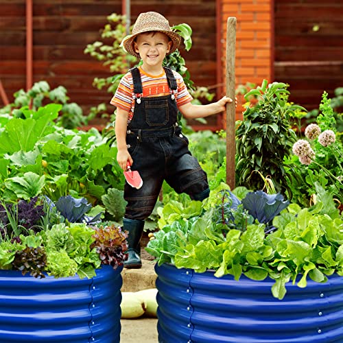 17" Tall 42" Round Blue Raised Garden Bed Kit