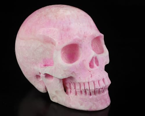 5.0" Pink Aragonite Realistic Crystal Skull (5.0 Inches Pink Aragonite 8)