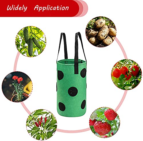 Upside Down Tomato Planter (3 Count)