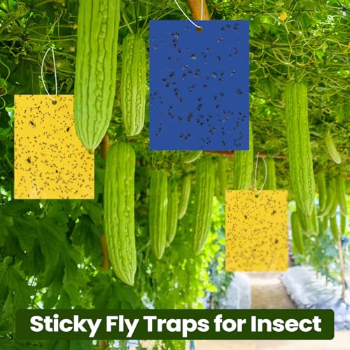 100 Pcs 6x8 Inch Yellow Blue Sticky Traps for Gnats (Yellow,Blue)