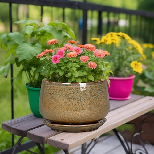 Ceramic Planters (9 Inch / Speckled Brown)