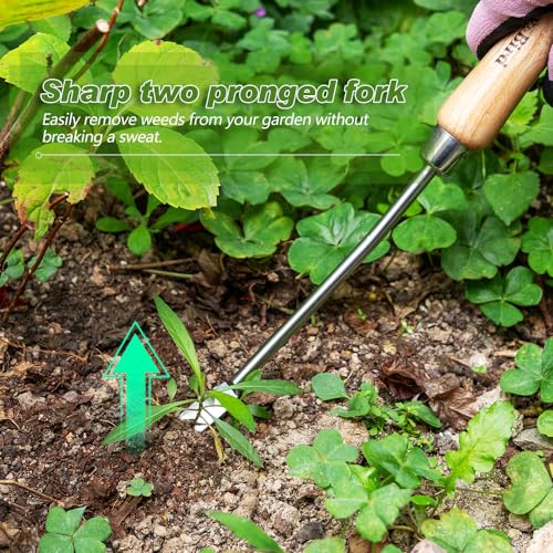 Dandelion Weeding Tool
