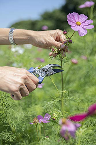 6 Piece Stainless Steel Heavy Duty Garden Tools Set (6 Count)