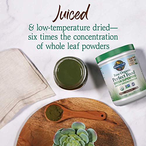 Raw Organic Perfect Food Chocolate Powder (10 Ounce)