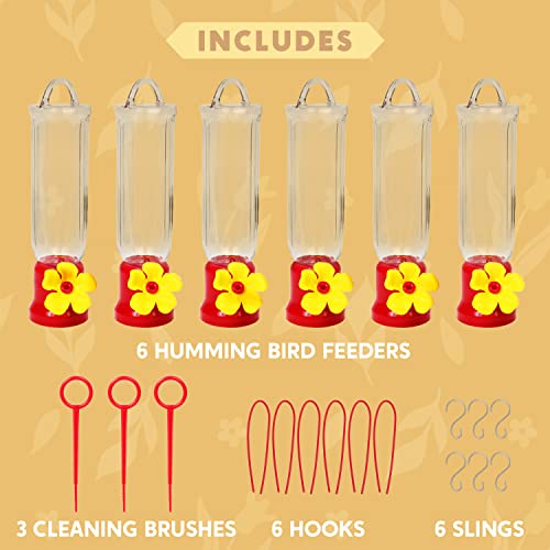 Set of 6 Mini Hummingbird Feeders with Hanging Wires