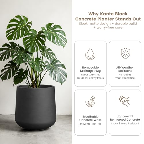 Accent Round Curved Black Concrete Planter 13" Dia