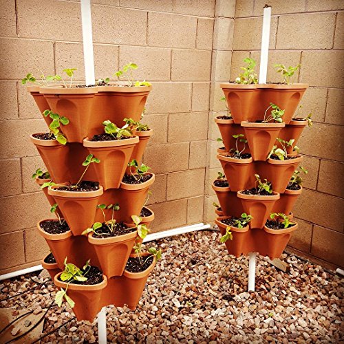 Vertical Gardening Planters (12 Count)