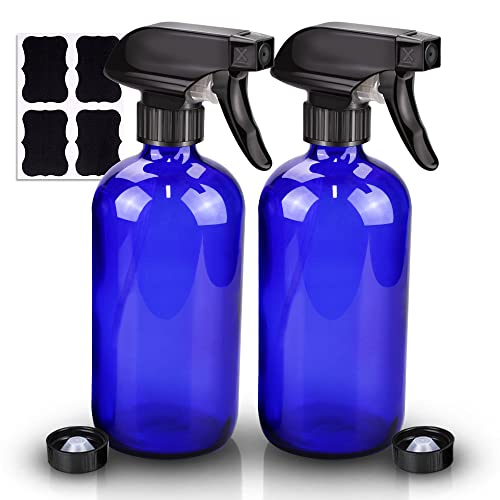 Glass Spray Bottle (2 Count)