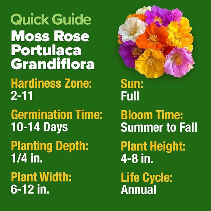 Moss Rose Portulaca Seeds (2 Count)