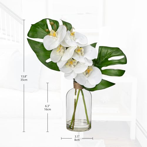 Artificial Monstera Plant and Fake Orchid in Glass Vase