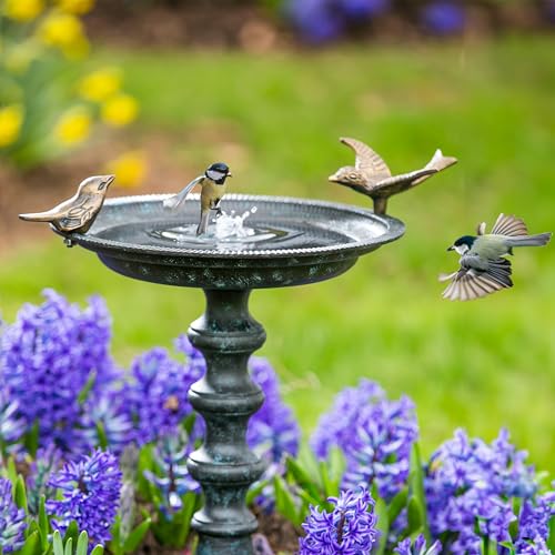 Hummingbird Bird Baths for Outdoors Heavy Duty
