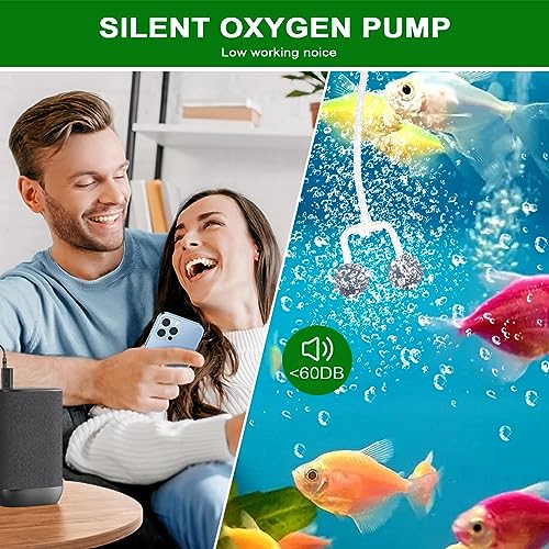 Solar Pond Aerator with Air Pump