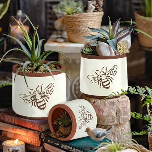 Terracotta Pots (8+6+4 Inch / White Bee)