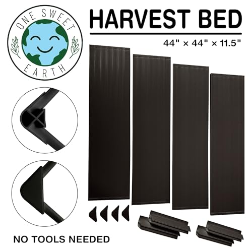 Raised Garden Bed