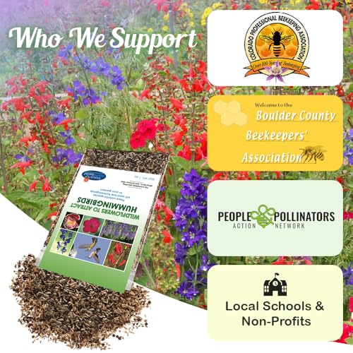 BBB Seed Hummingbird Flower Seeds Mix