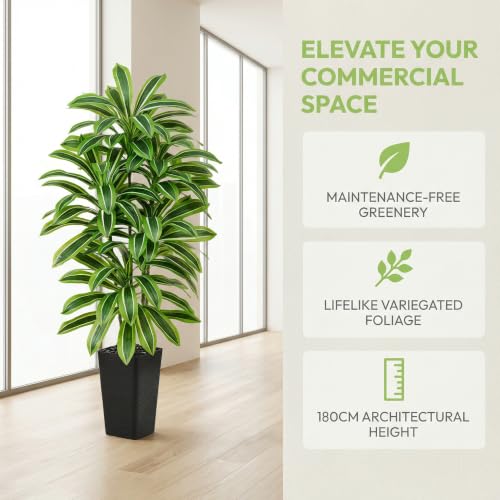 Artificial Dracaena Tree (Light Green – Black Pot / 6FT)