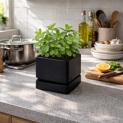 2 Pack Plastic Herb Planter Pots (2 Count)