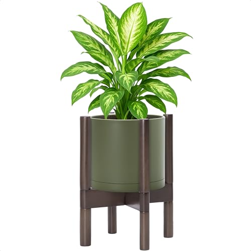 Plastic Pot with Walnut Wood Stand (Olive Pot + Walnut Color Stand / 8 Inch)