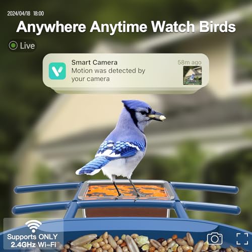 Smart Bird Feeder with Camera Solar Powered