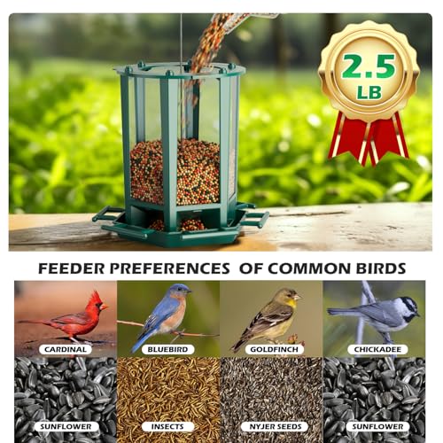 4 Pack Bird Feeders for Outdoor Hanging